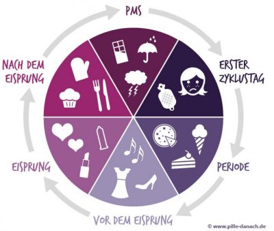 Infografik zum Zyklus mit Eisprung und Periode