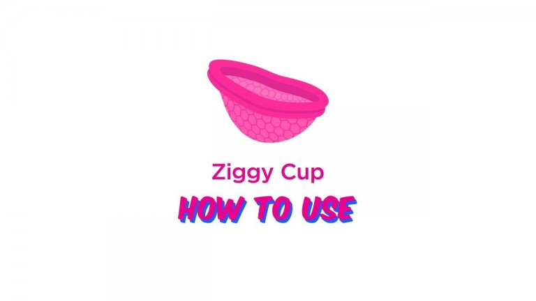 Pinke Grafik mit weißem Hintergrund zeigt Ziggy Cup-Zeichnung mit Text "Ziggy Cup - How to Use"
