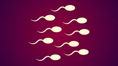 Schwimmende weiße Spermazellen vor rot-lila Hintergrund