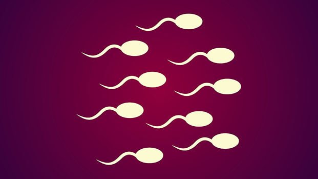 Schwimmende weiße Spermazellen vor rot-lila Hintergrund