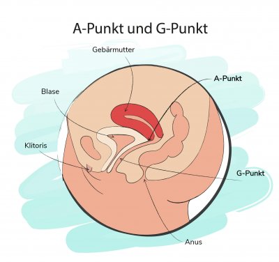 Überblick über den A-Punkt und G-Punkt der Frau